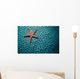 Fromia Species Sea Star Wall Decal