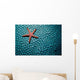 Fromia Species Sea Star Wall Decal