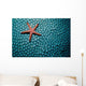Fromia Species Sea Star Wall Decal