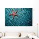 Fromia Species Sea Star Wall Decal