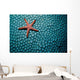 Fromia Species Sea Star Wall Decal