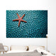 Fromia Species Sea Star Wall Decal