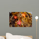 Tidepool with Bat Stars Wall Decal