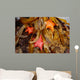 Tidepool with Bat Stars Wall Decal