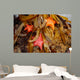 Tidepool with Bat Stars Wall Decal
