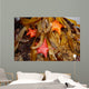 Tidepool with Bat Stars Wall Decal