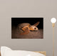 Loggerhead Turtle Nesting Beach Wall Decal