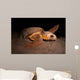 Loggerhead Turtle Nesting Beach Wall Decal