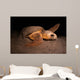 Loggerhead Turtle Nesting Beach Wall Decal
