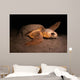 Loggerhead Turtle Nesting Beach Wall Decal