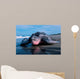 Adult Female Leatherback Turtle Wall Decal