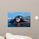 Adult Female Leatherback Turtle Wall Decal