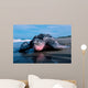 Adult Female Leatherback Turtle Wall Decal