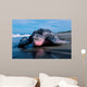 Adult Female Leatherback Turtle Wall Decal