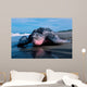 Adult Female Leatherback Turtle Wall Decal