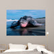 Adult Female Leatherback Turtle Wall Decal