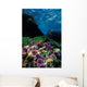 Purple Sea Urchin California Wall Decal