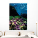 Purple Sea Urchin California Wall Decal