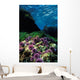 Purple Sea Urchin California Wall Decal
