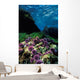 Purple Sea Urchin California Wall Decal