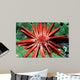 Red Pencil Urchin Hawaii Wall Decal