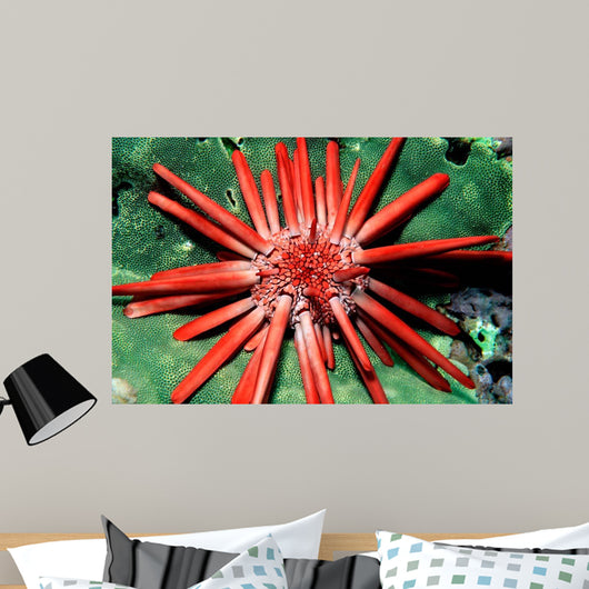 Red Pencil Urchin Hawaii Wall Decal