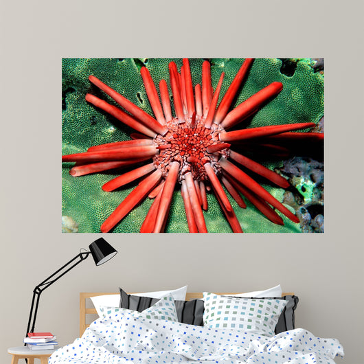 Red Pencil Urchin Hawaii Wall Decal