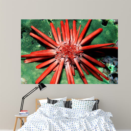 Red Pencil Urchin Hawaii Wall Decal
