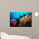 Long-spined Urchin Cocos Island Wall Decal