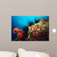 Long-spined Urchin Cocos Island Wall Decal