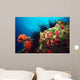 Long-spined Urchin Cocos Island Wall Decal