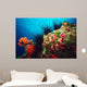 Long-spined Urchin Cocos Island Wall Decal