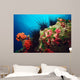 Long-spined Urchin Cocos Island Wall Decal