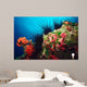 Long-spined Urchin Cocos Island Wall Decal