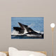 Humpback Whales Bubble-net Feeding Wall Decal Design 6