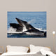 Humpback Whales Bubble-net Feeding Wall Decal Design 6