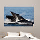Humpback Whales Bubble-net Feeding Wall Decal Design 6