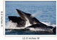 Humpback Whales Bubble-net Feeding Wall Decal Design 6