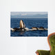 Humpback Whales Bubble-net Feeding Wall Decal Design 5