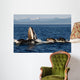Humpback Whales Bubble-net Feeding Wall Decal Design 5