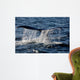 Tail Humpback Whale Clarence Wall Decal
