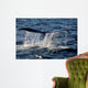 Tail Humpback Whale Clarence Wall Decal
