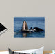 Humpback Whales Bubble-net Feeding Wall Decal Design 4