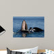 Humpback Whales Bubble-net Feeding Wall Decal Design 4