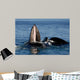 Humpback Whales Bubble-net Feeding Wall Decal Design 4