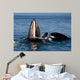 Humpback Whales Bubble-net Feeding Wall Decal Design 4