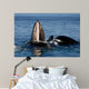 Humpback Whales Bubble-net Feeding Wall Decal Design 4