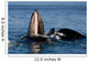 Humpback Whales Bubble-net Feeding Wall Decal Design 4