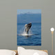 Humpback Whale Clarence Strait Wall Decal Design 2