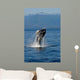 Humpback Whale Clarence Strait Wall Decal Design 2
